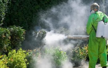 Primăria Călărași, o nouă campanie de dezinsecție pe domeniul public. Aceasta se va desfășura între 4 și 8 mai